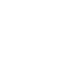 logo-altius